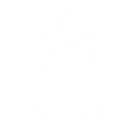 Icônes